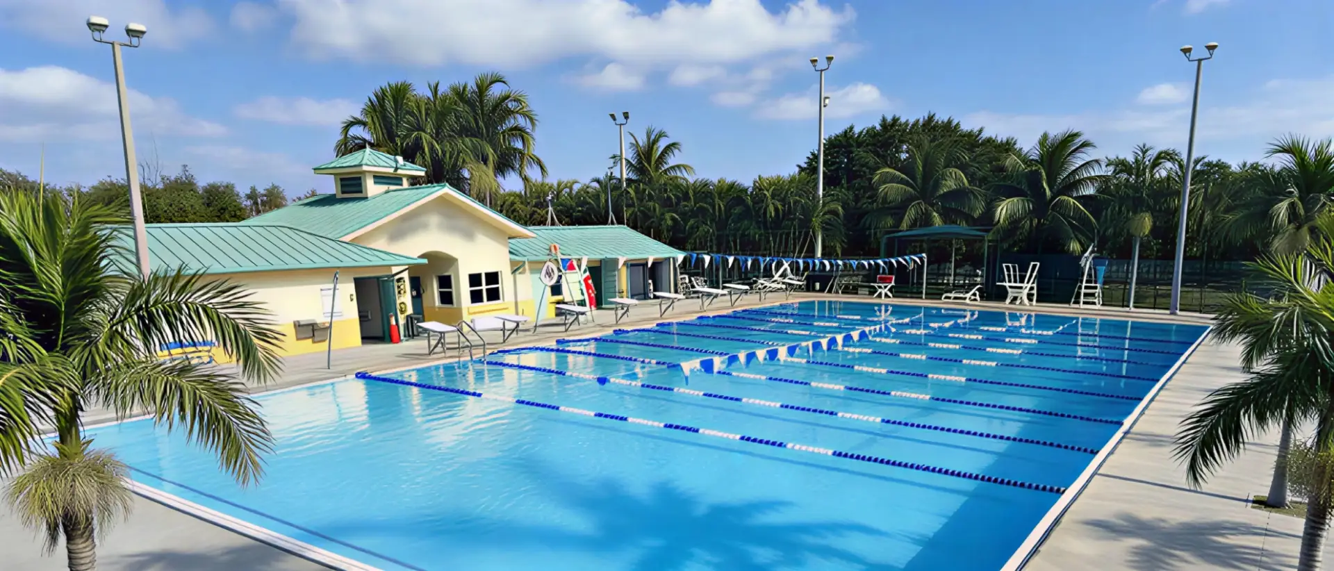 Custom LED stadium lights designed for a swimming pool venue