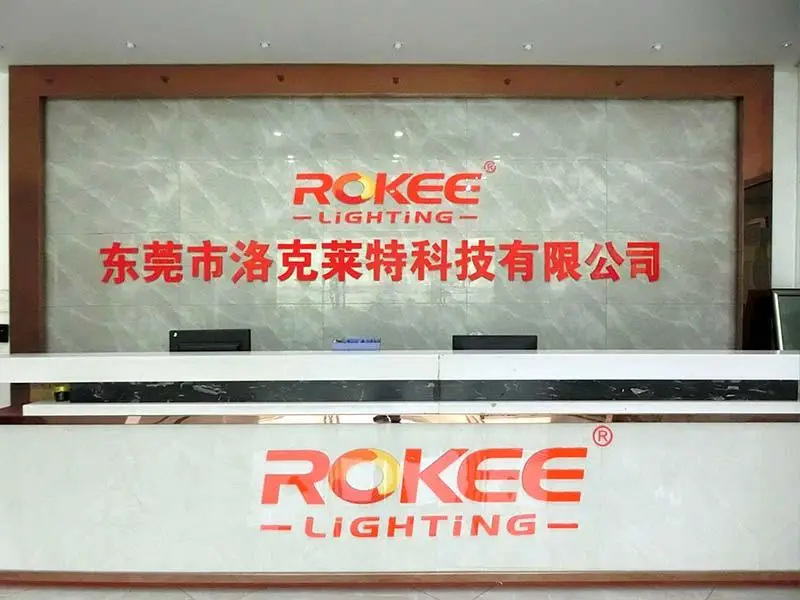 ROKEE Lighting Company Introduction video